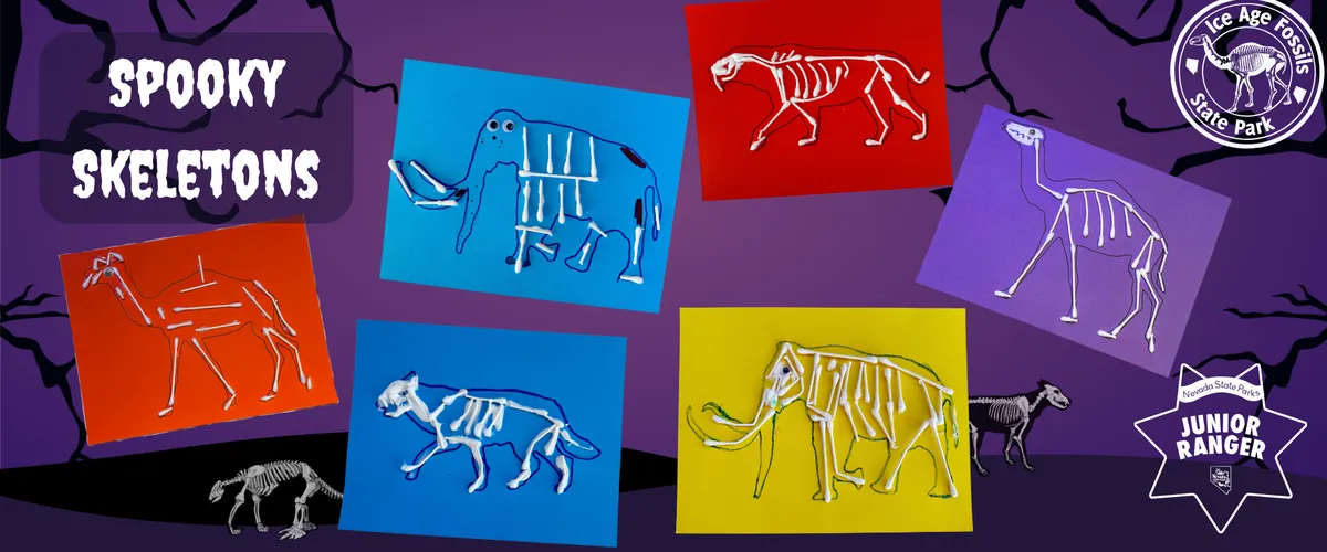 Spooky Skeletons craft — official source image