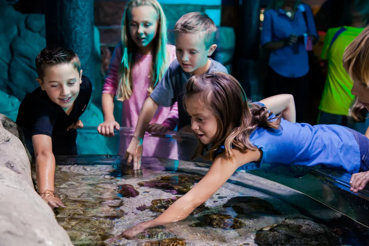 SEA LIFE Orlando Aquarium — official source image