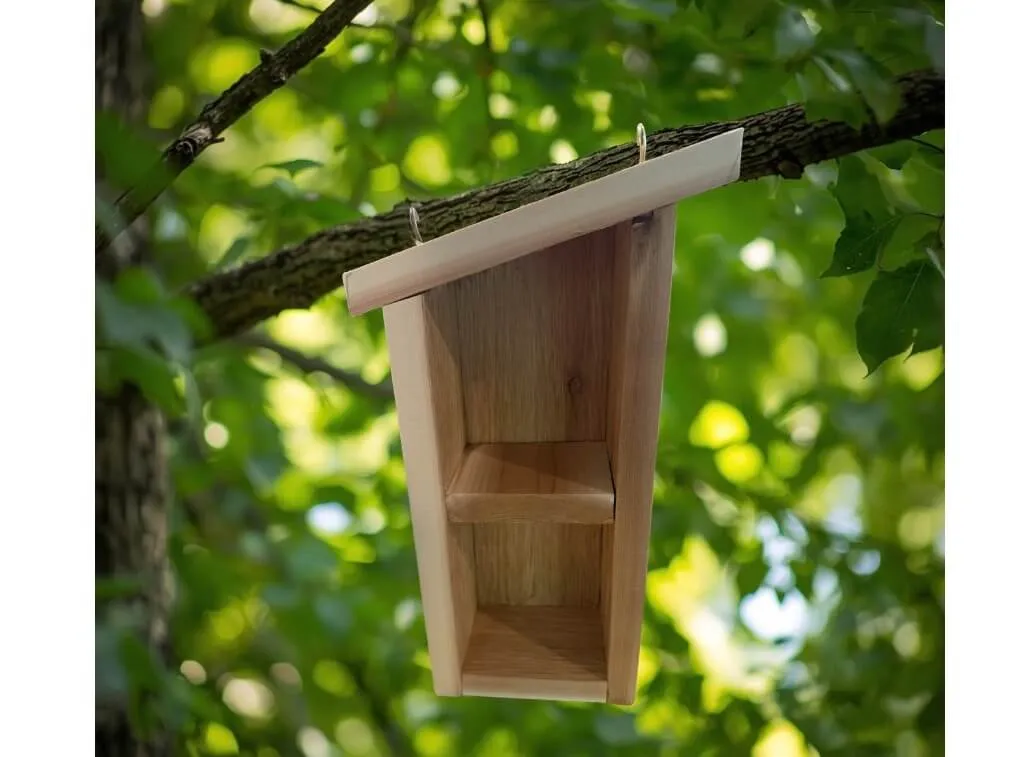 Insect Inn Enrichment Class at River Legacy (Ages 5-9) — official source image