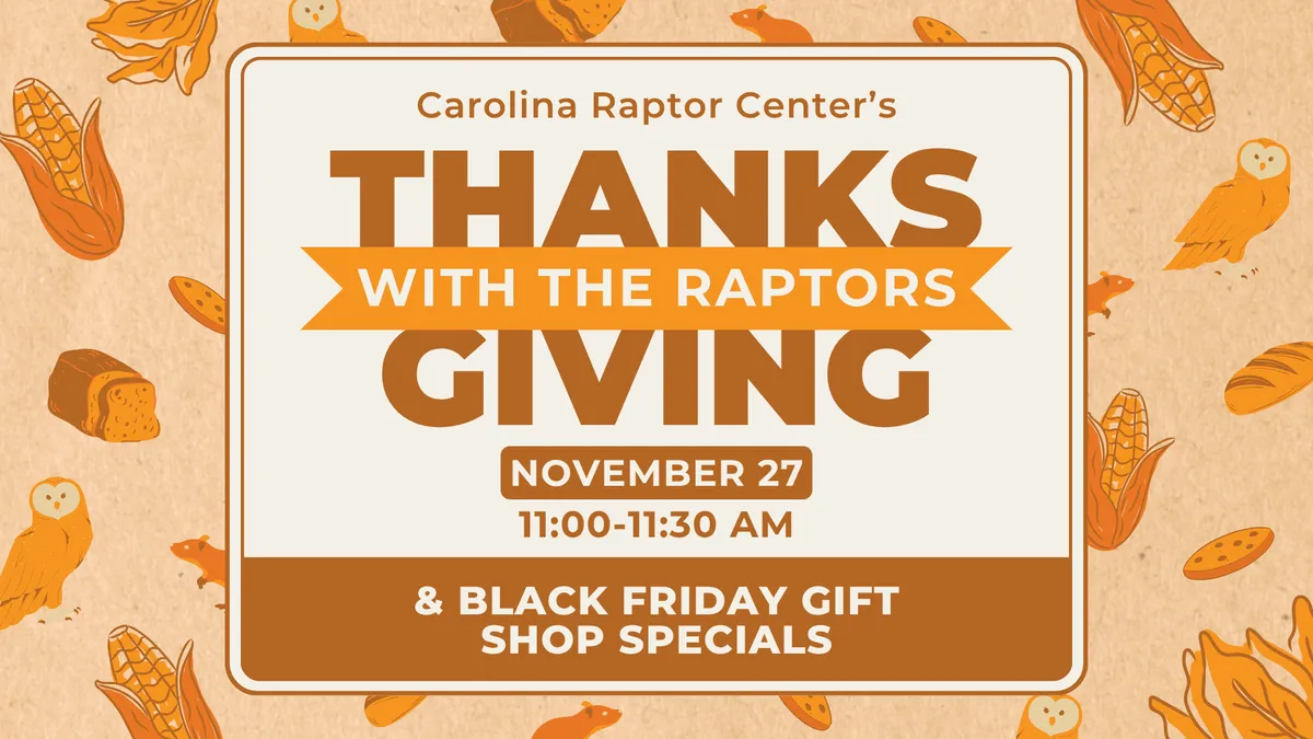 Thanksgiving with the Raptors — official source image