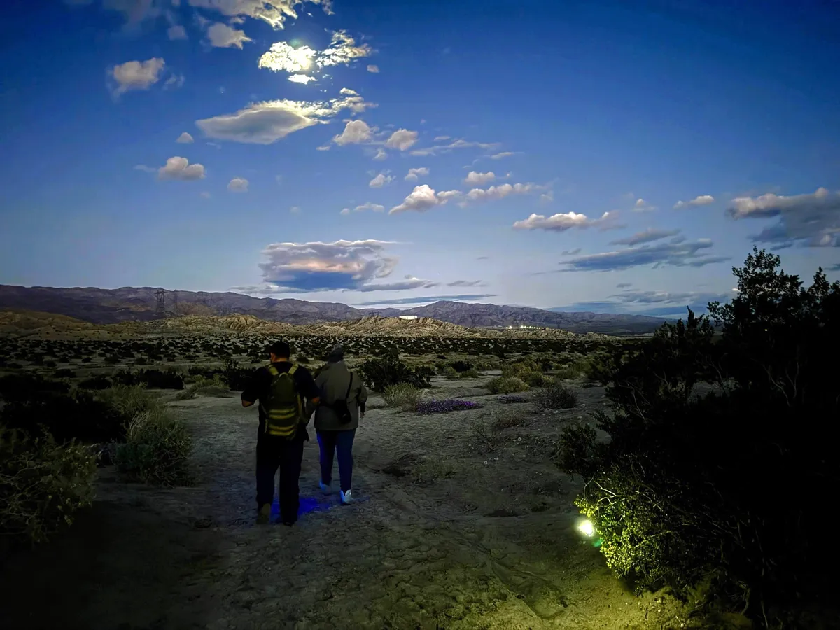 Full Moon Hike at the Indio Badlands Trail — official source image