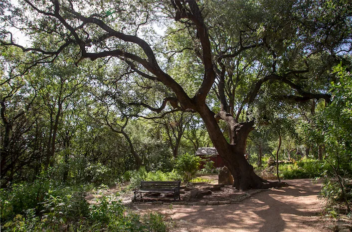 Roots & Wings Festival: Flutter Through the Forest at Zilker Botanical Garden — venue image