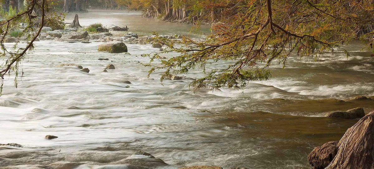 Halloween Night Hike at Guadalupe River State Park — venue image