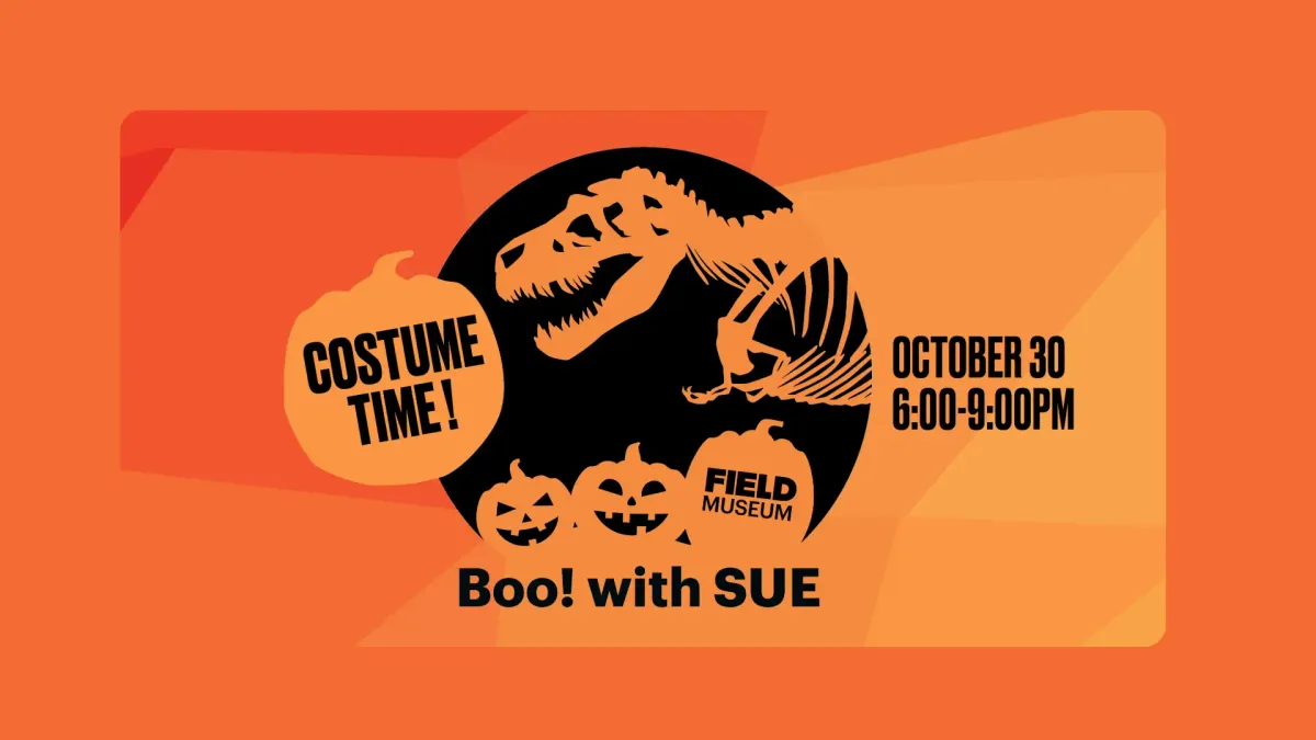 Family Field Nights: Boo with SUE — official source image