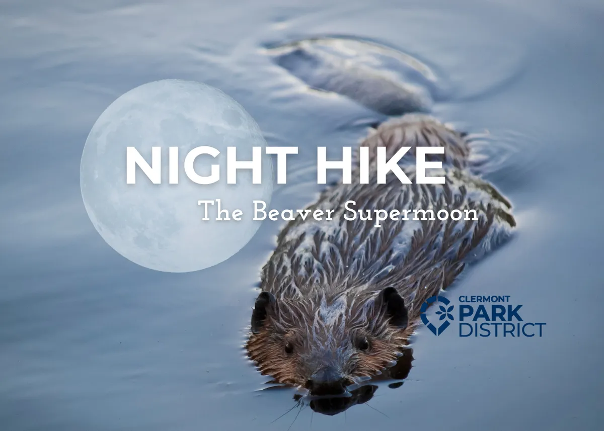 Night Hike: The Beaver Supermoon — official source image