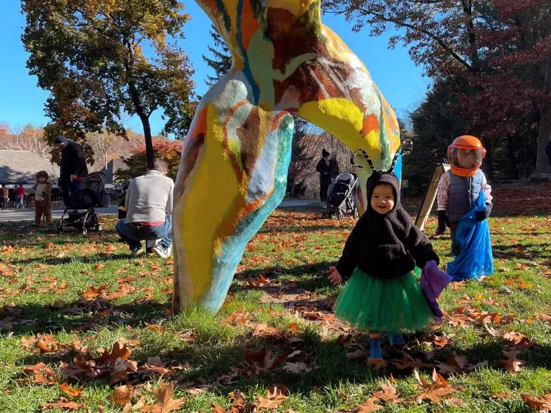 Halloween in the Morning Mist at deCordova — official source image