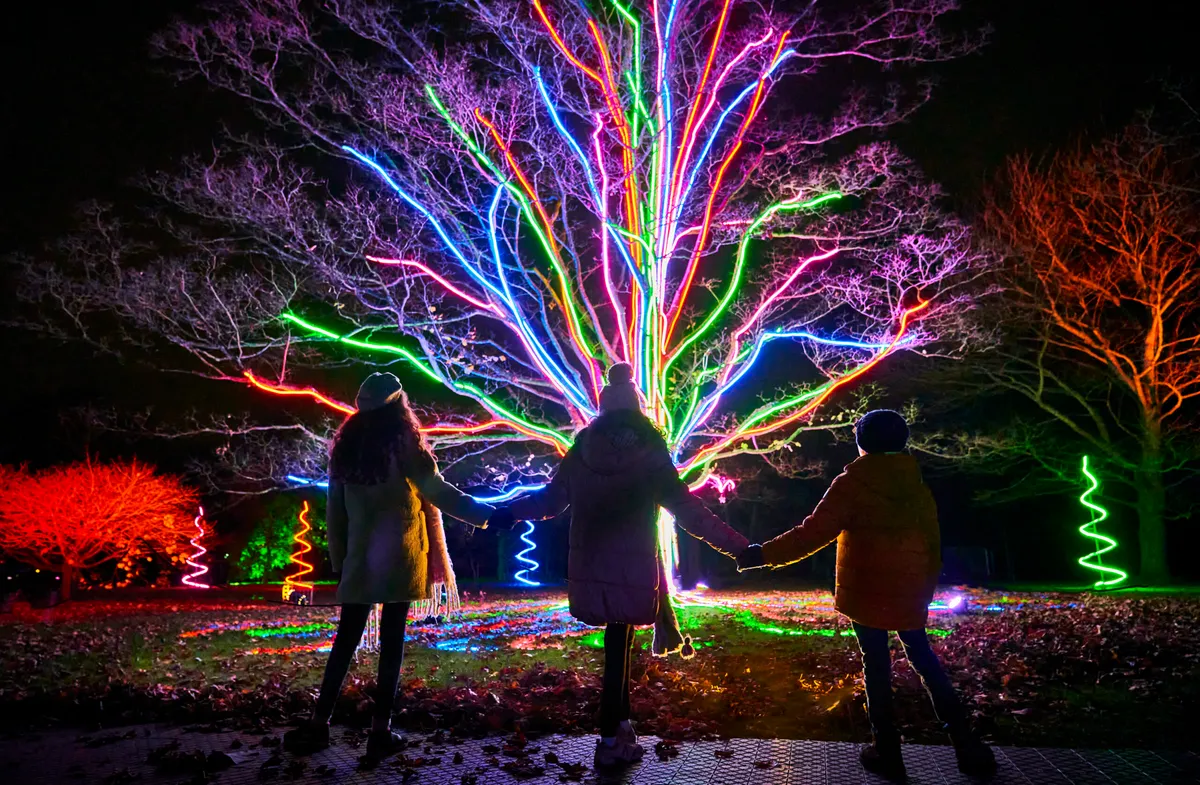 Lightscape at San Francisco Botanical Garden — official source image