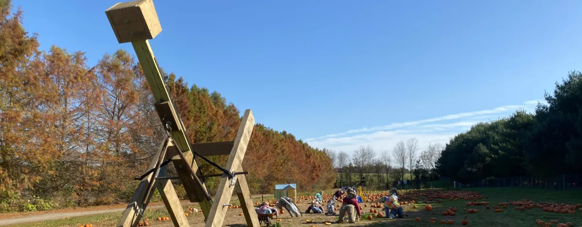 Pumpkin Chucking Weekend at Clark's Elioak Farm — official source image