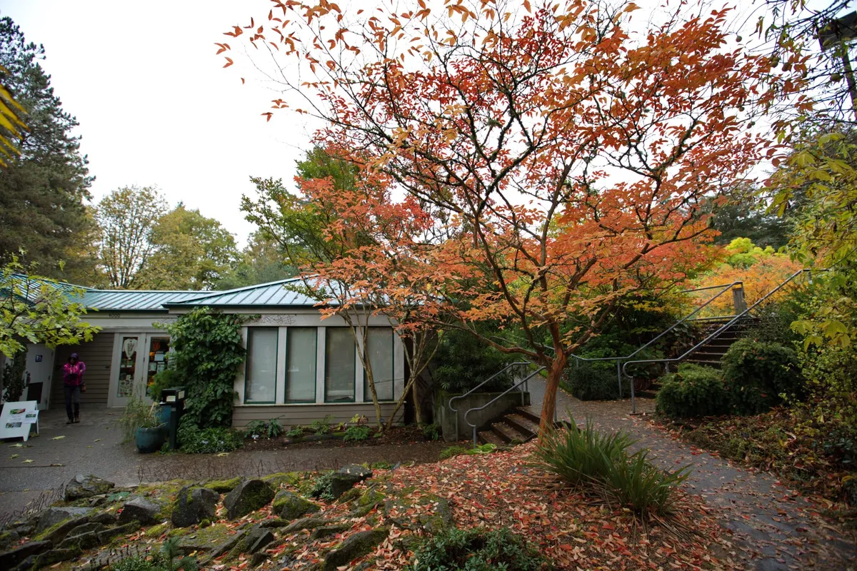 Fall Into Science at Hoyt Arboretum — official source image