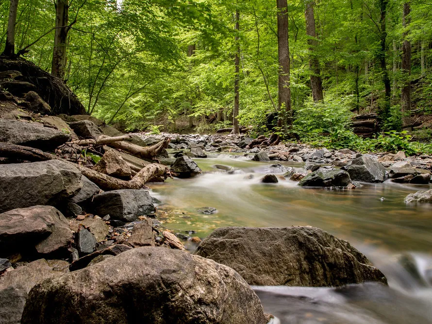 Patapsco Valley State Park — official source image