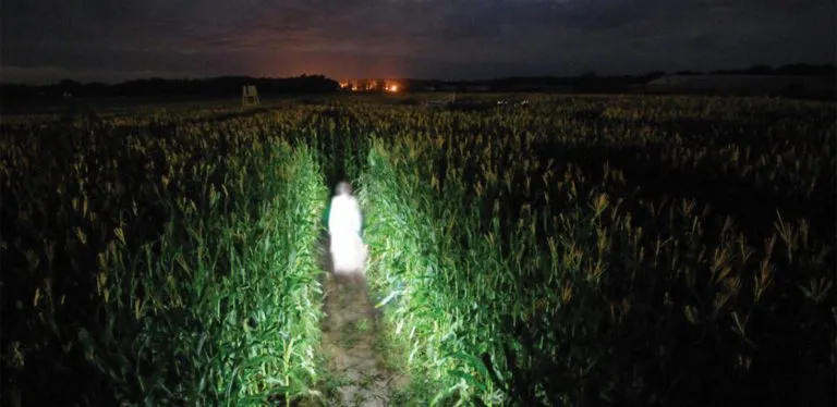 Harbes Orchard Spooky Night Maze — official source image