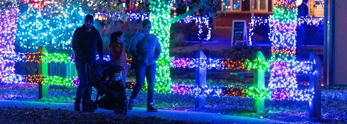 Trail of Lights at Chatfield Farms — official source image