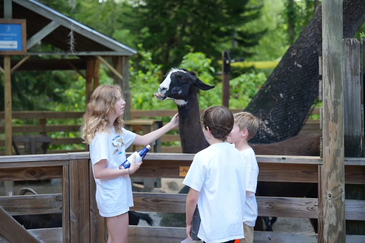 Thanksgiving School Break Camp at Central Florida Zoo — official source image