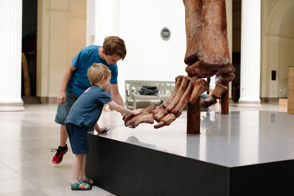 Itty Bitty Explorers: T. rex Teeth & Tails — official source image