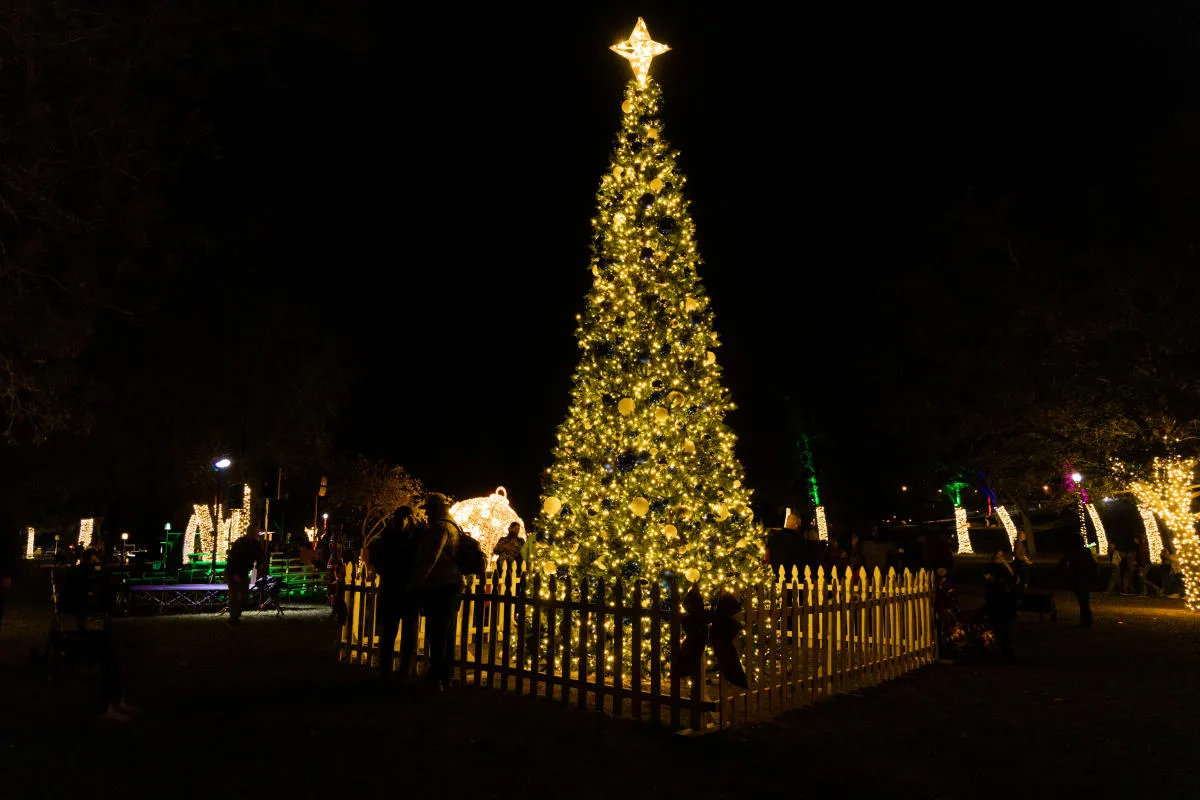 Bastrop's Annual Christmas Tree Lighting — official source image