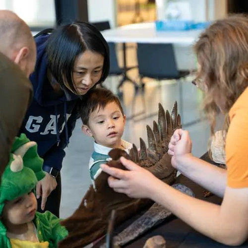 Fossil Finders at the Burke Museum (monthly) — official source image