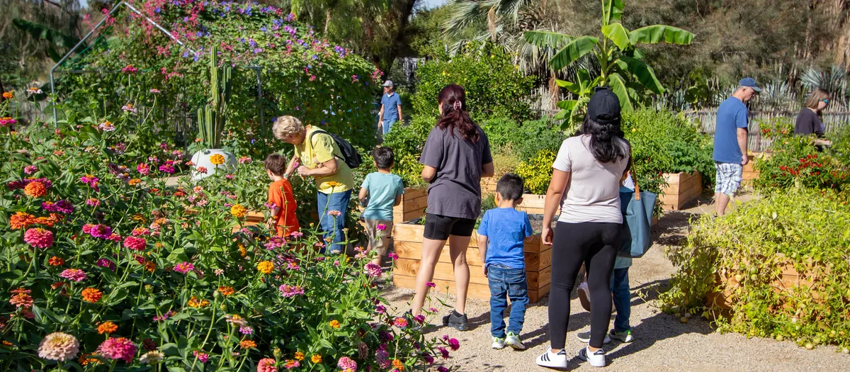 Nevada Day Celebration at Springs Preserve and Nevada State Museum — official source image