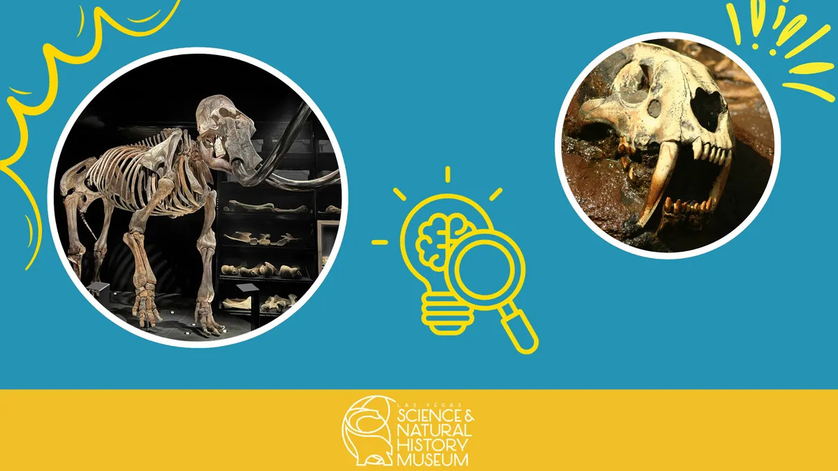 Early Explorers: Measuring Monsters — official source image