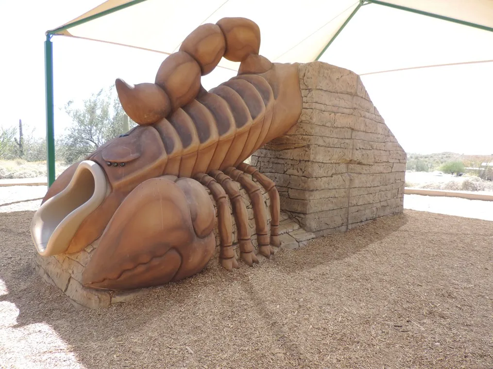 Full Moon Scorpion Hike — Cave Creek Regional Park — venue image