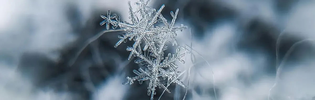Winter Wonderland Bash — official source image