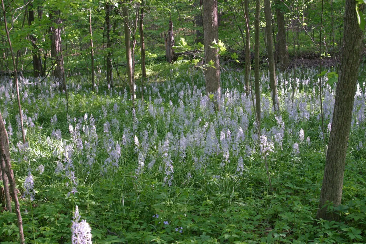 Stratford Ecological Center — official source image
