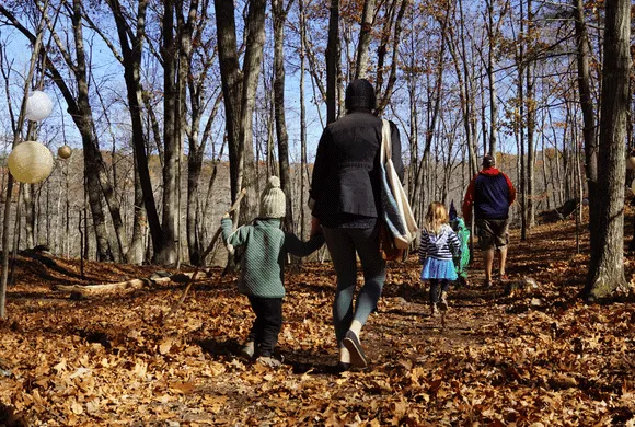 Environmental Art: Fall Foliage (for families, ages 4+) — official source image