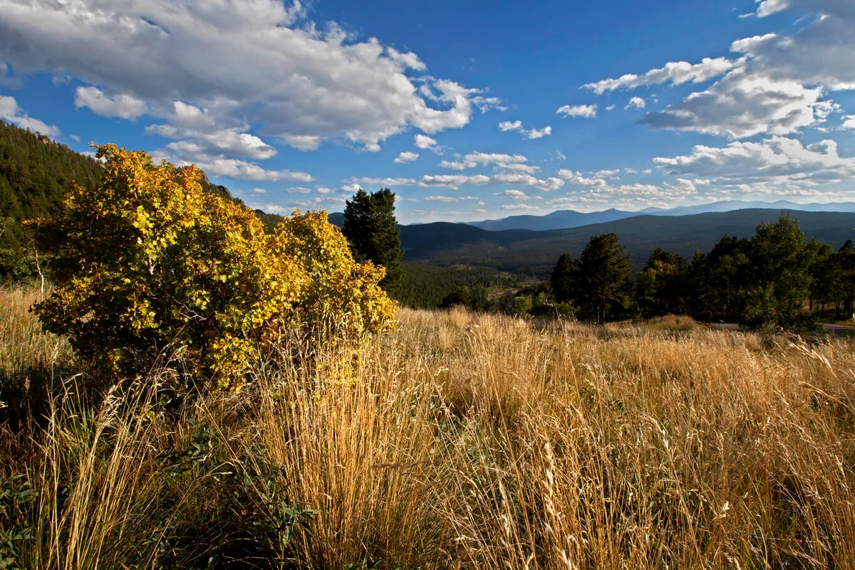 Golden Gate Canyon State Park — official source image