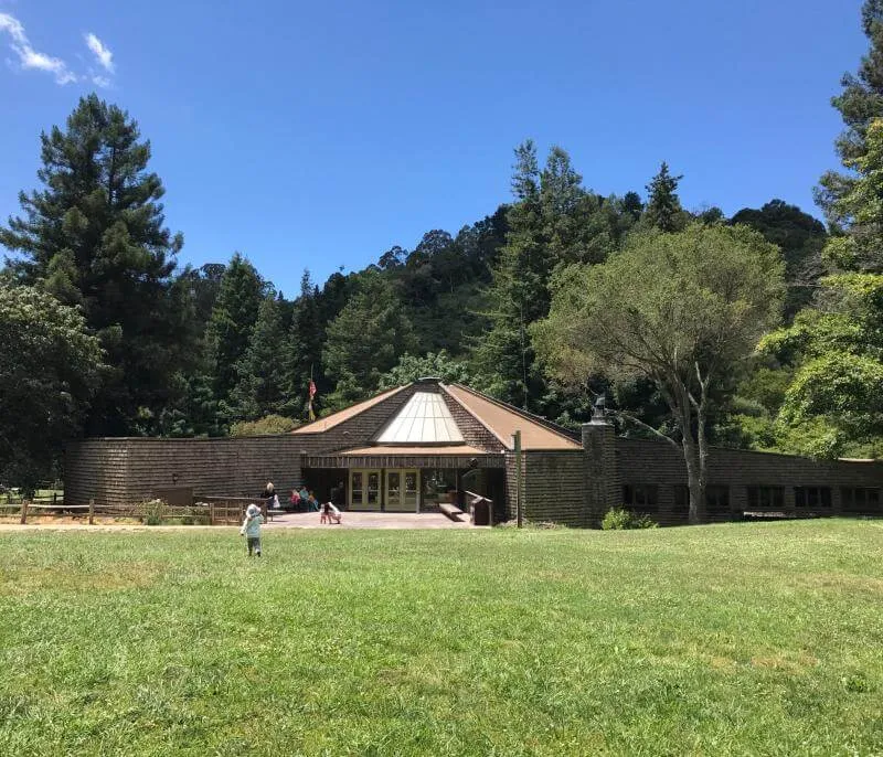 Seasonal Wreaths drop-in craft at Tilden Nature Area — venue image