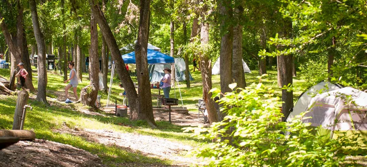 Gifts from the Trees Hike at Lockhart State Park — venue image