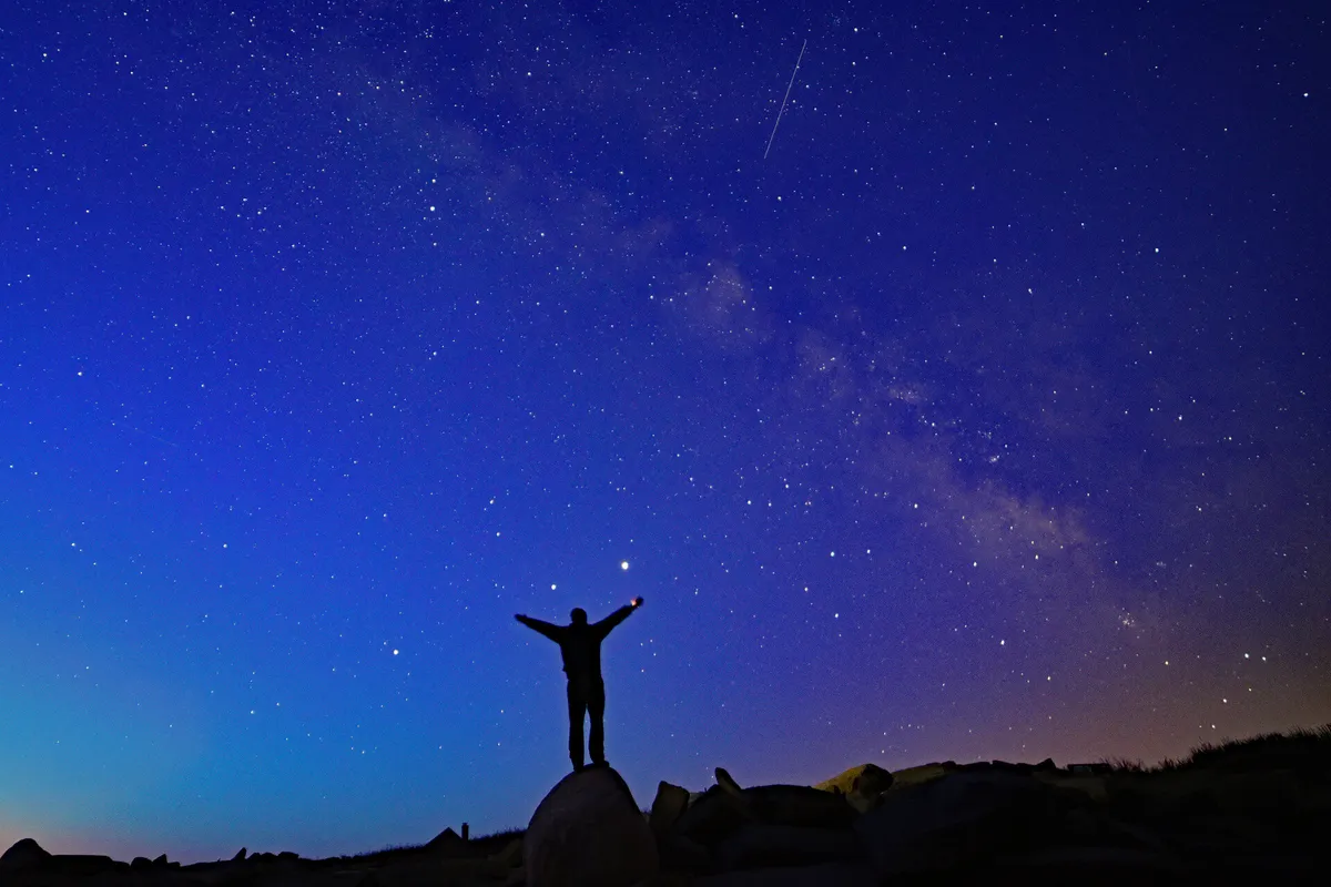 Stargazing with Owls on Chickatawbut Hill — official source image