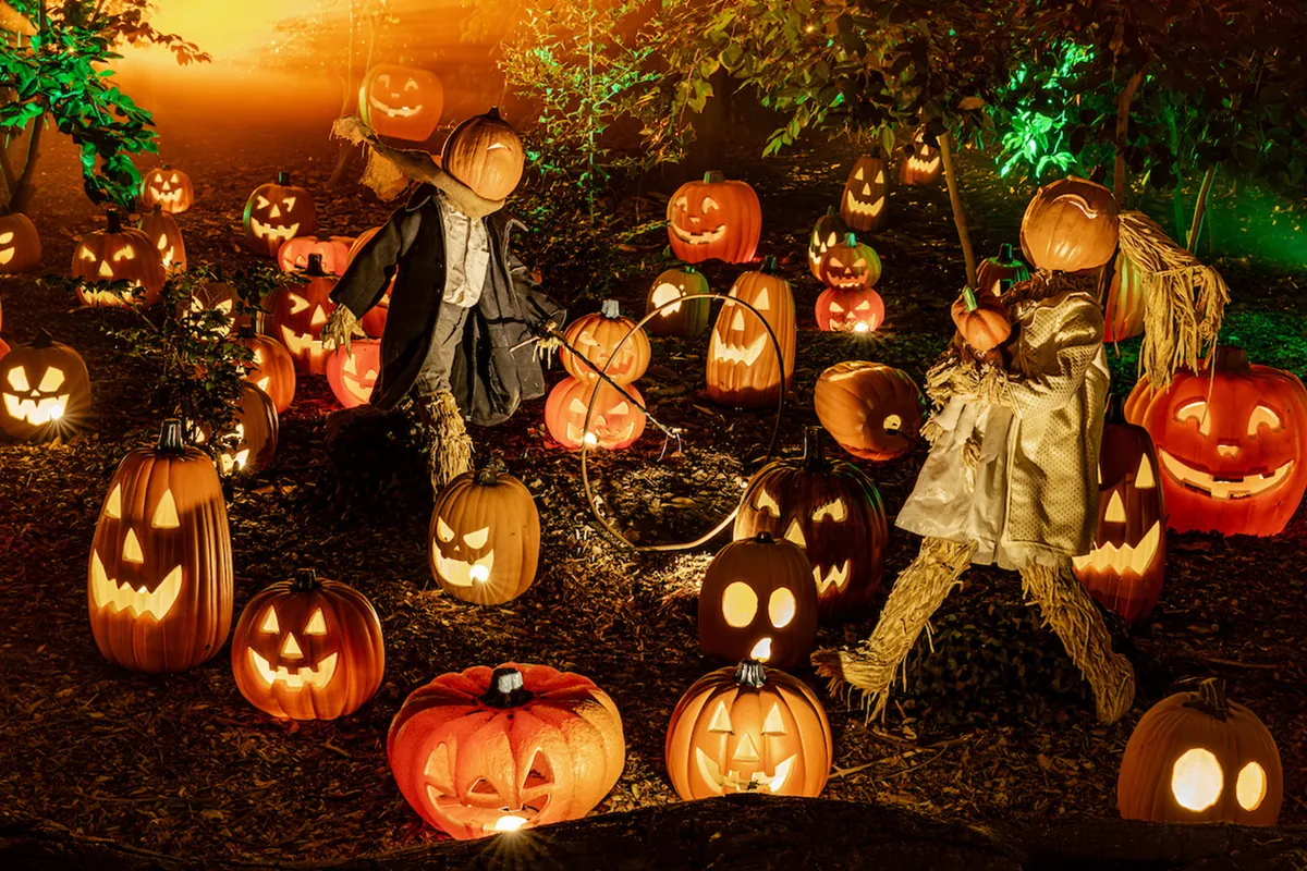 Trick-or-Treat at Carved — official source image