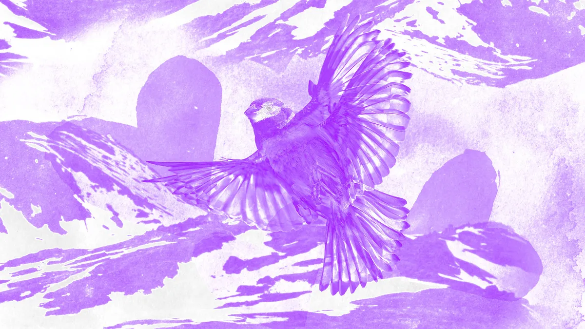 The Mountain That Loved a Bird (Oregon Symphony Family Series) — official source image