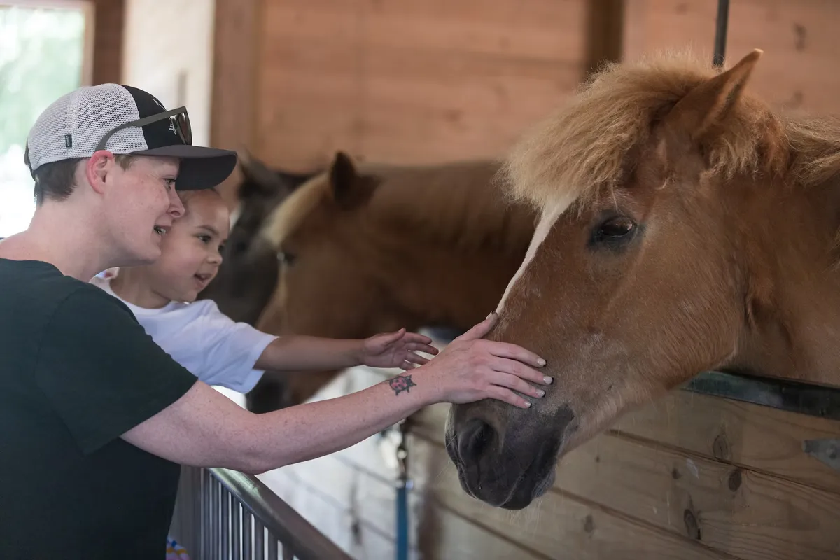 Open Barn Day at Old Maryland Farm — official source image