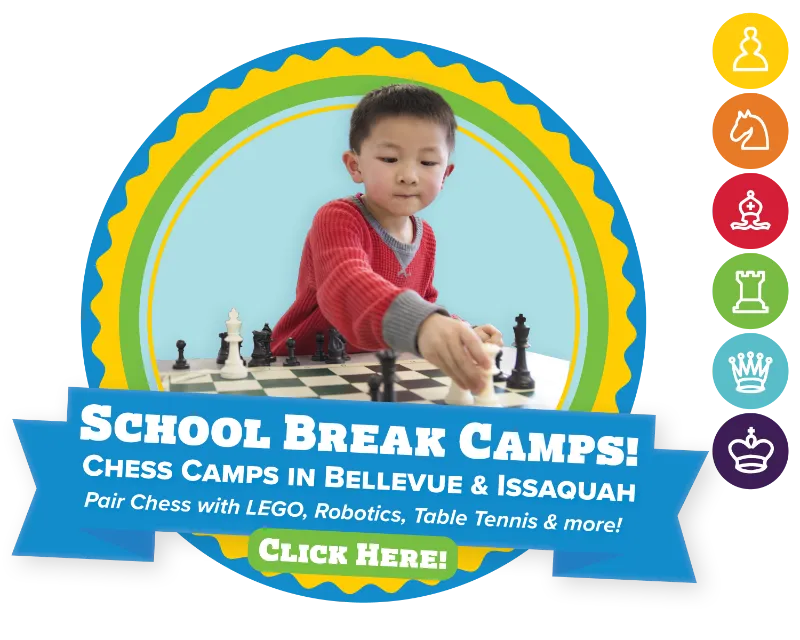 Chess4Life Bellevue – Premium Chess Classes — program image