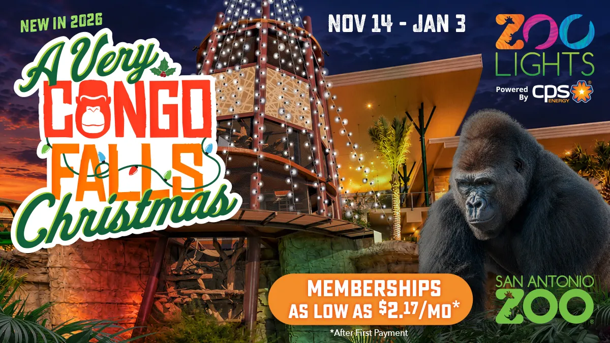 Zoo Lights at San Antonio Zoo — official source image