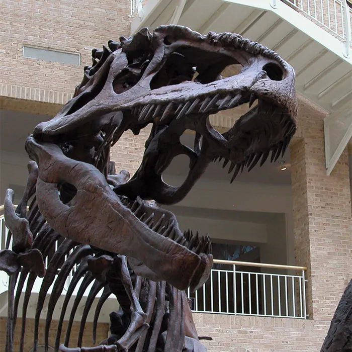Dino Talk — selected October 2026 sessions — venue image