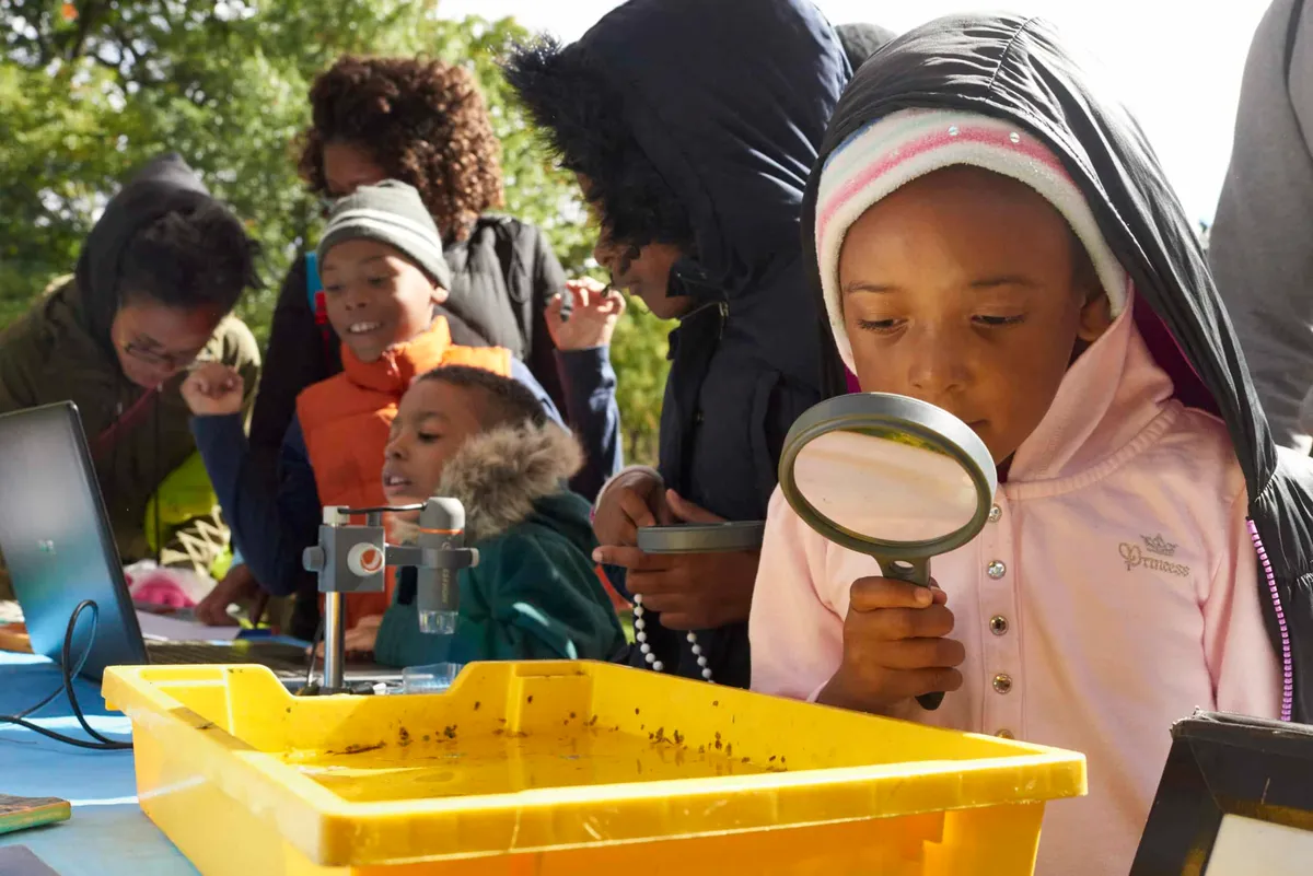 School Holiday Family Programs in Prospect Park (Election Day & Veterans Day) — official source image