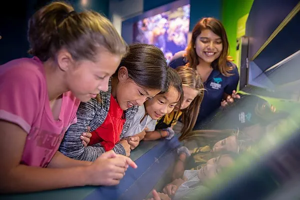 Ocean Investigators: hands-on science program for ages 7-12 — official source image