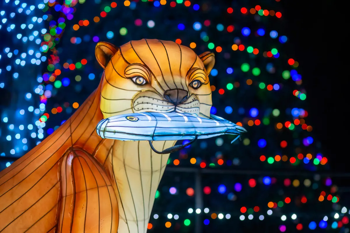 ZooLights 2026–27 — official source image