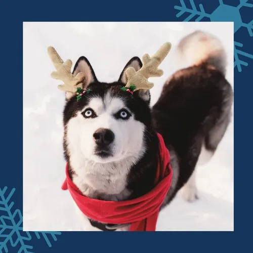 Santa & His Critters (Hudson, WI) — official source image