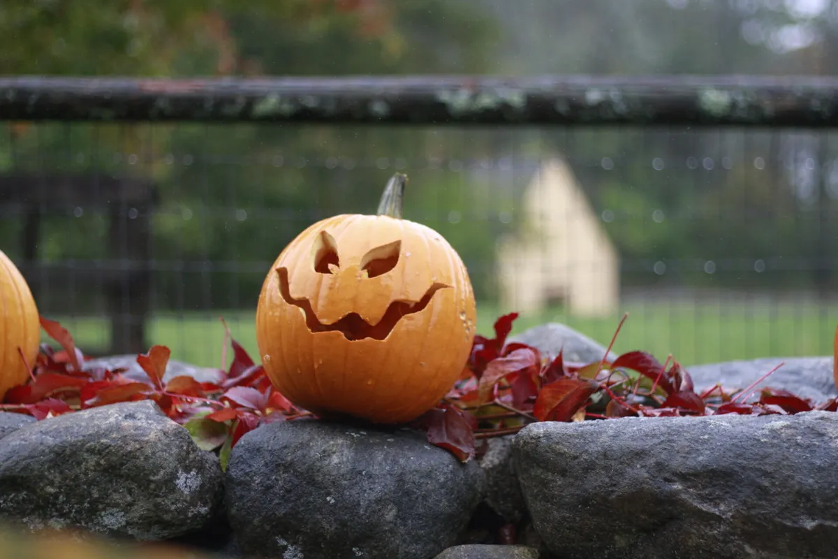 Fall-oween on the Farm at Drumlin Farm — official source image