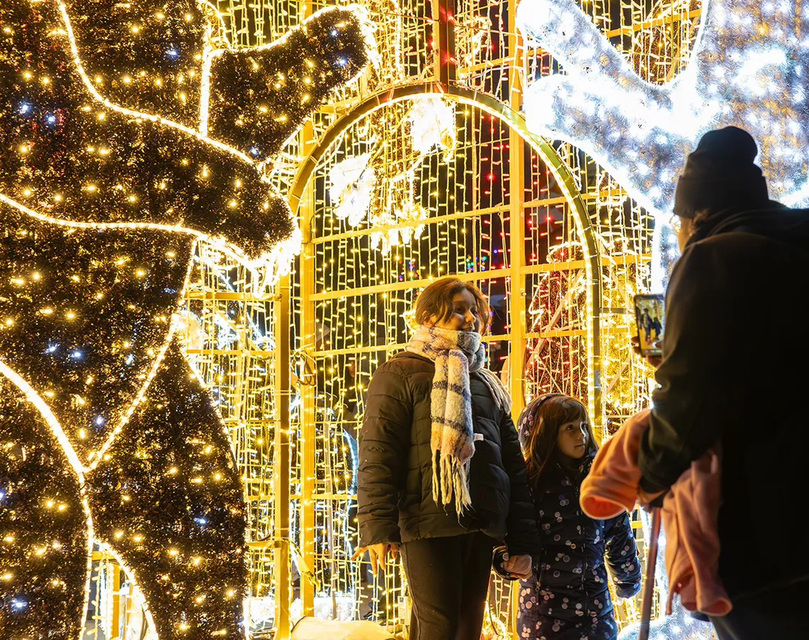 ZooLights at San Francisco Zoo & Gardens — official source image