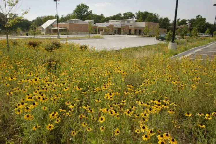 Anita B. Gorman Conservation Discovery Center — official source image