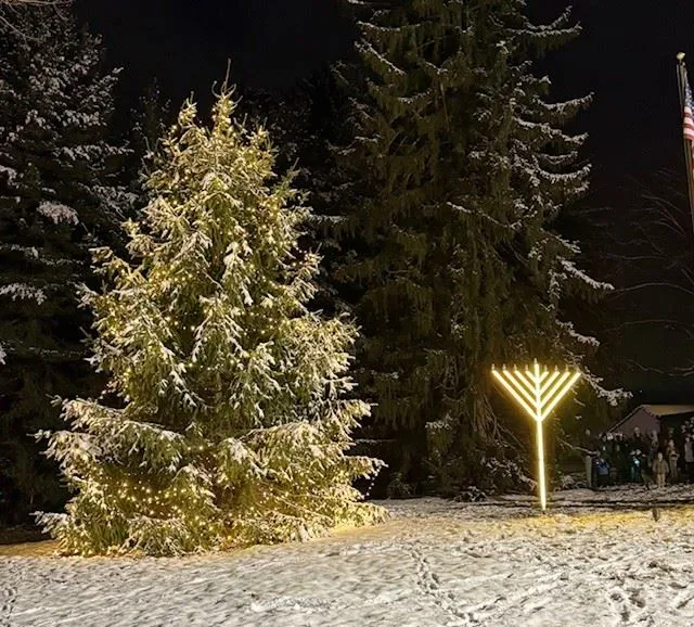 Light Up Fox Chapel — official source image