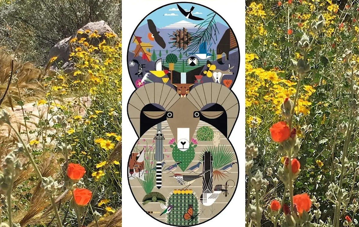 Fall Bioblitz: Santa Rosa & San Jacinto Mountains National Monument — official source image