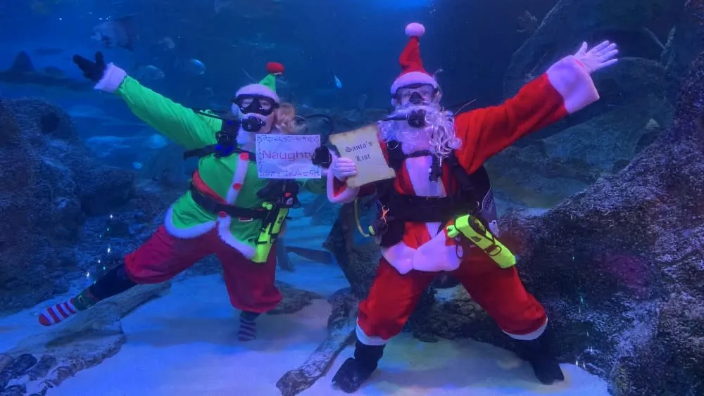 Scuba Santa at SEA LIFE Grapevine — official source image