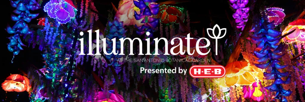 Illuminate holiday light trail at San Antonio Botanical Garden — official source image