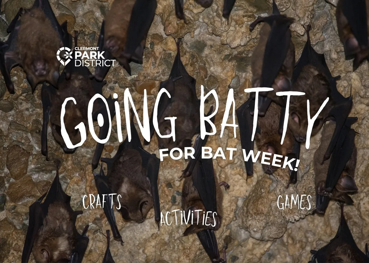 Going Batty (Bat Week) — official source image