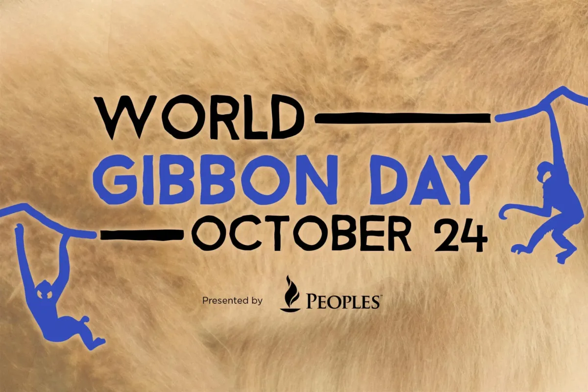World Gibbon Day at Pittsburgh Zoo — official source image