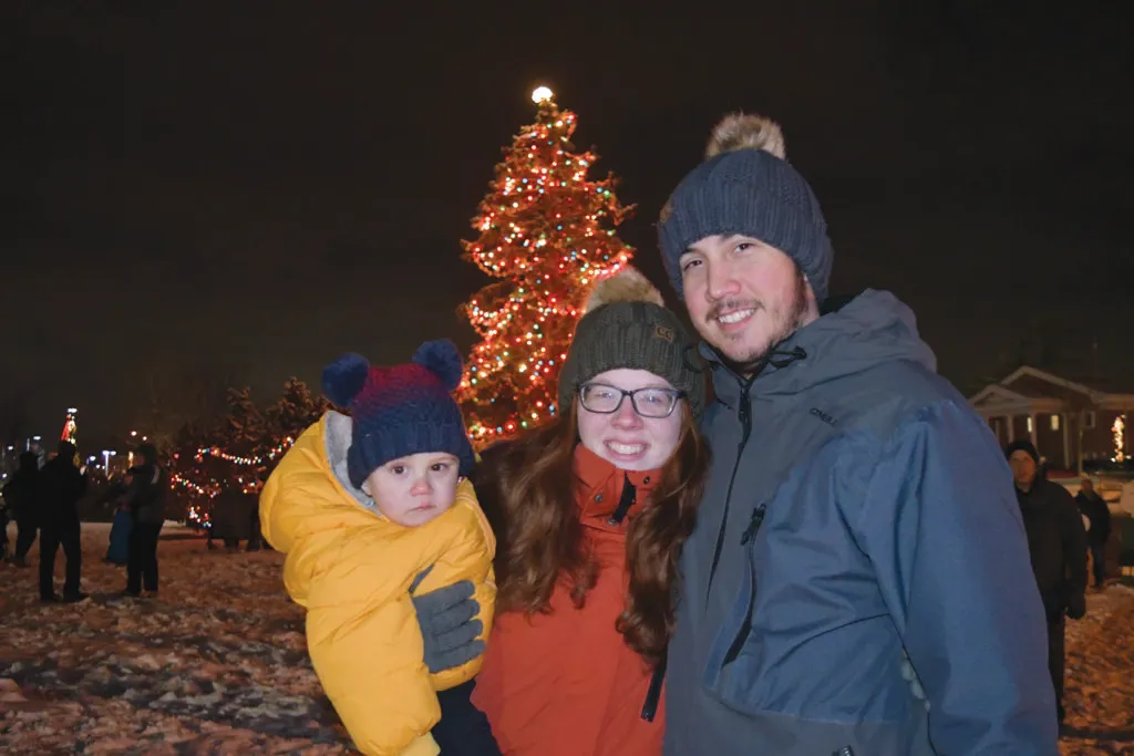 Batavia Celebration of Lights — official source image